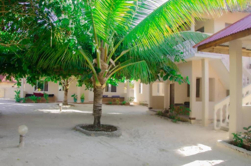 Summer Dream Lodge Paje Exterior foto